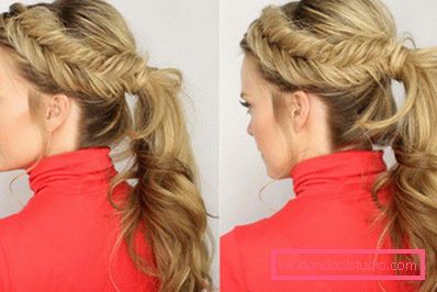 10 horsetail alternativer