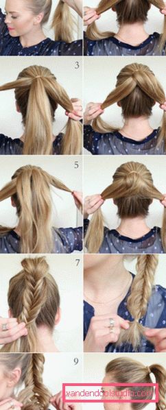 10 horsetail alternativer