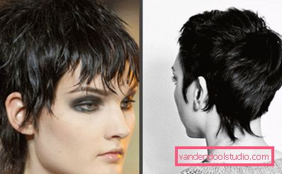 Kort haircut gavrosh