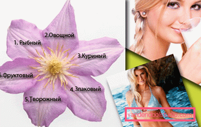 seks petals diett seks petals diett