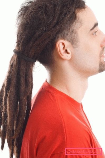 Lange menns frisyrer med dreadlocks Menns lange hårklipp og frisyrer