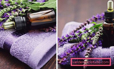 lavendel lavendel