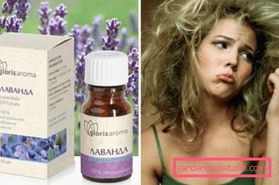 lavendel for tørre krøller lavendel for tørre krøller
