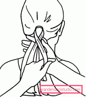 Slik vever du en pigtail
