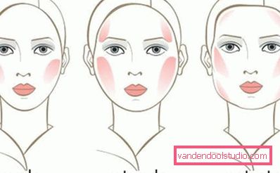 blush applikasjonsskjema blush applikasjonsskjema