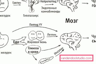 metningsalgoritme metningsalgoritme