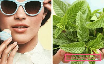 mint balsam mint balsam