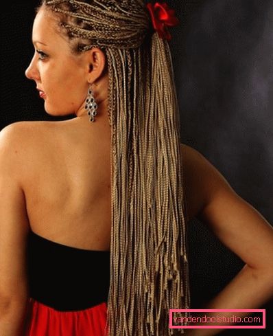 Zizi hår Pigtail zizi - hvordan å veve