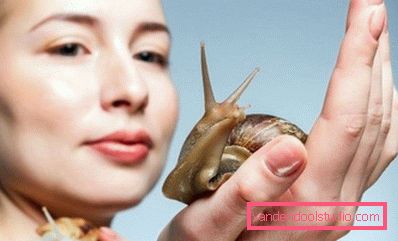 Achatina hjem omsorg ansikt Achatina hjem omsorg ansikt