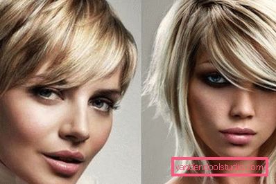 2 korthårede blondiner 2 korthårede blondiner